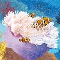 Amphiprioninae